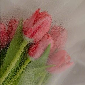 Meet your Posher, M.